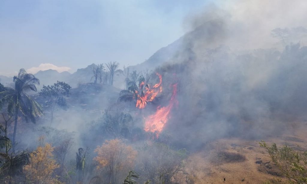 Se agrava desastre natural en el Tolima por incendios forestales