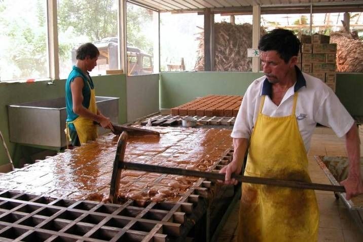 Intermediarios se quedan con las ganancias de los paneleros