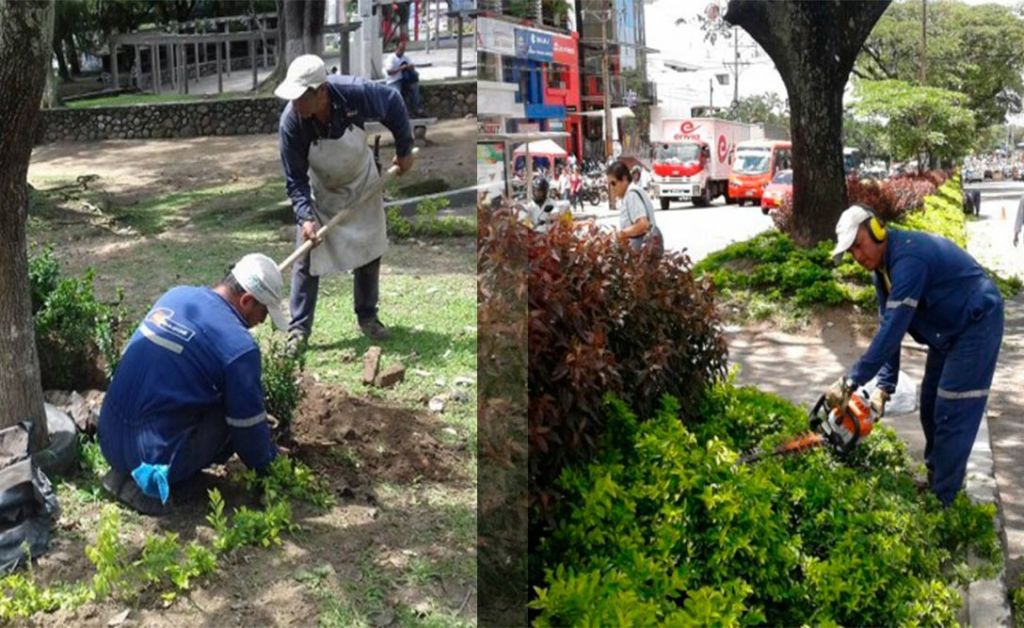 Comenzó la recuperación de zonas verdes de Ibagué