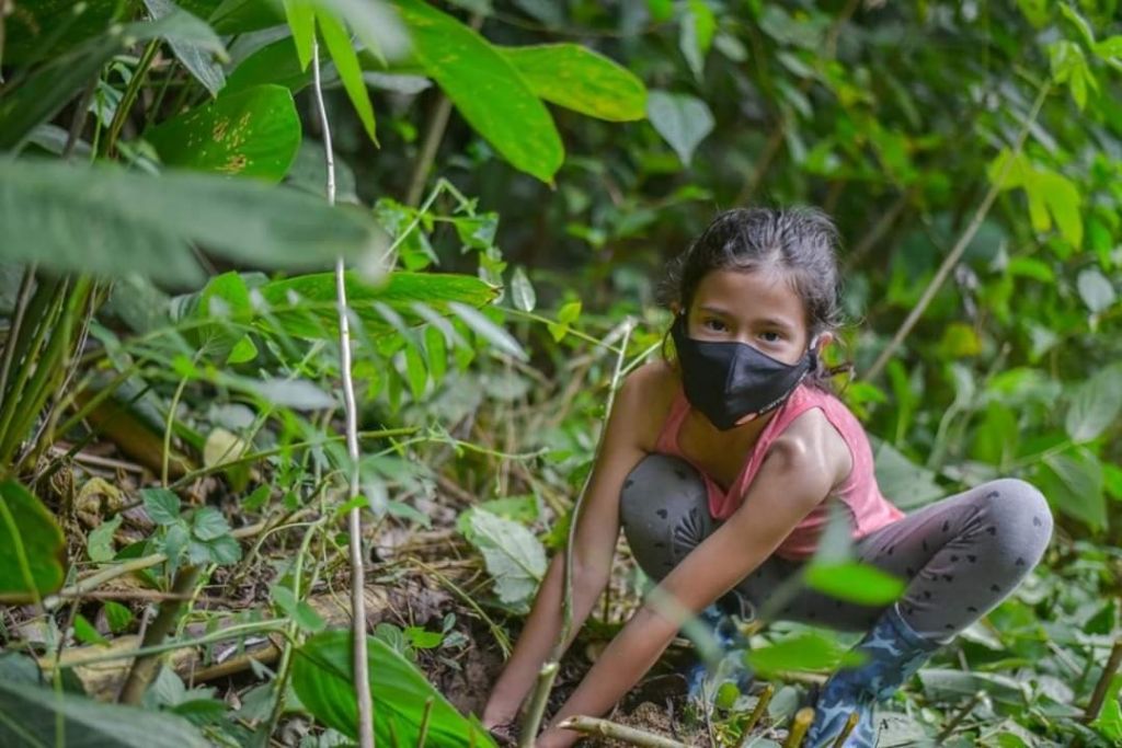 La educación ambiental se toma las instituciones educativas de Ibagué