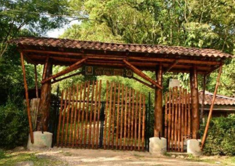Jardín Botánico de Ibagué, pide ayuda para no desaparecer