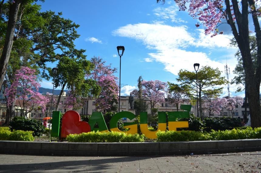 Gremios económicos en Ibagué y el toque de queda.