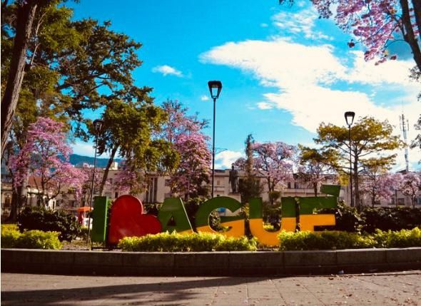 Empresas de turismo, podrían reactivarse en Ibagué