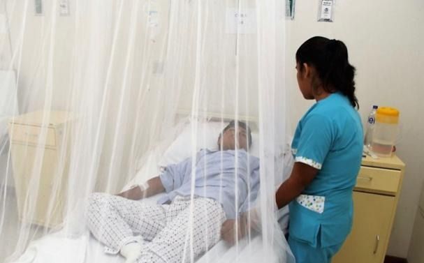 El dengue, un virus silencioso que también mata