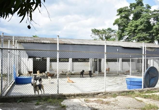 Hasta los animales fueron olvidados por alcalde Hurtado: Concejales