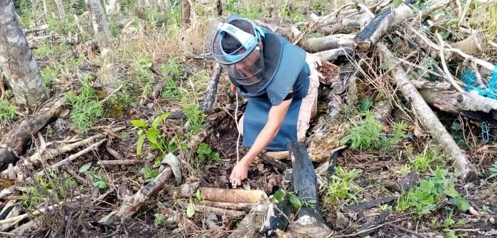 Hallan minas antipersona que amenazaba la vida de 240 personas