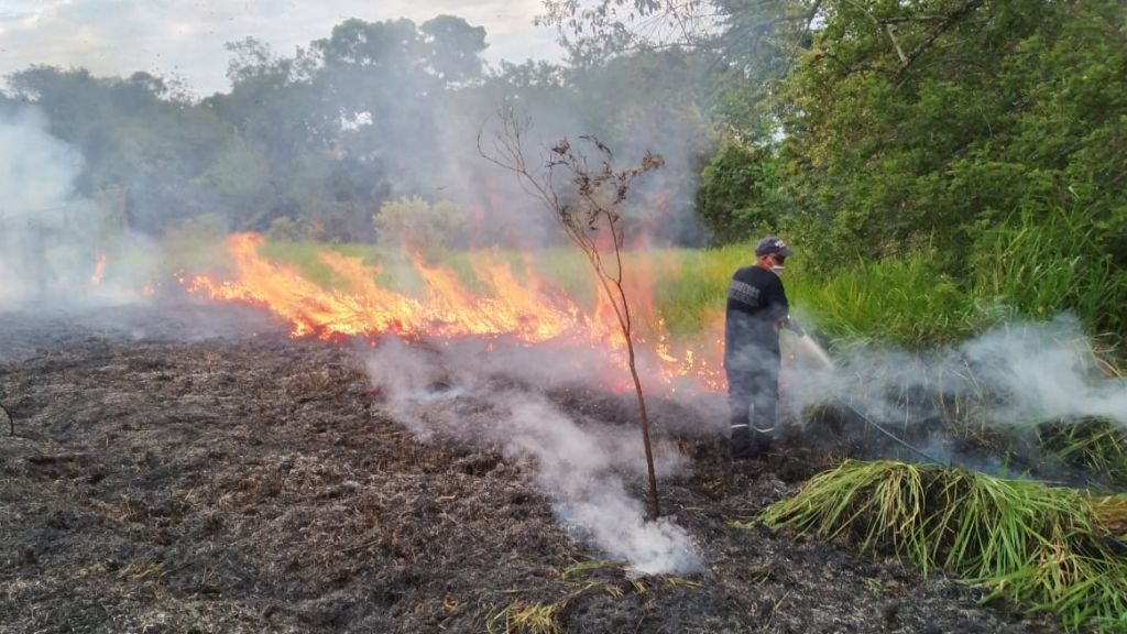 Ola de calor comienza hacer estragos en el Tolima