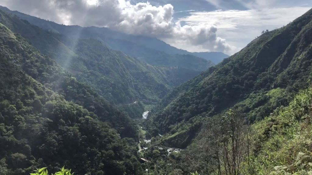 Desarrollo sostenible para las veredas de la parte baja de Amoyá del Cañón de las Hermosas en Chaparral.