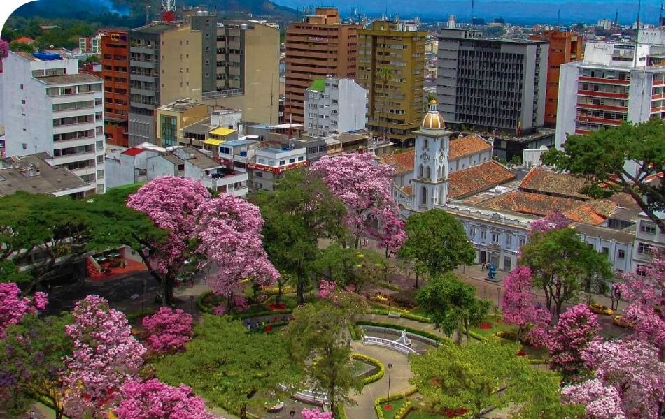 Pico y Cédula y toque de queda desde hoy para Ibagué