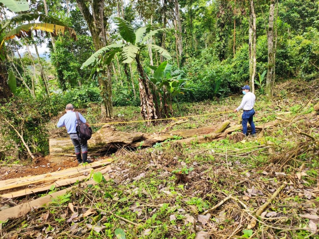 Cortolima atiende llamado de la comunidad de Melgar