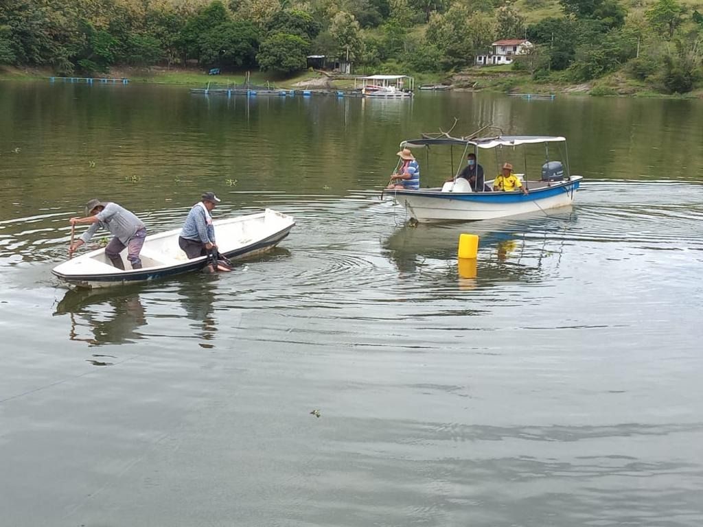 Identifican los dos empleados de Celsia, muertos en represa de Prado