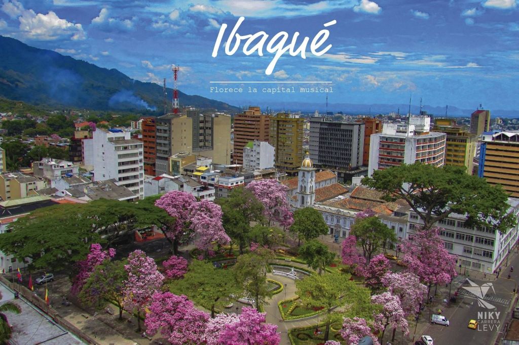 Amplían plazos para descuentos tributarios en Ibagué