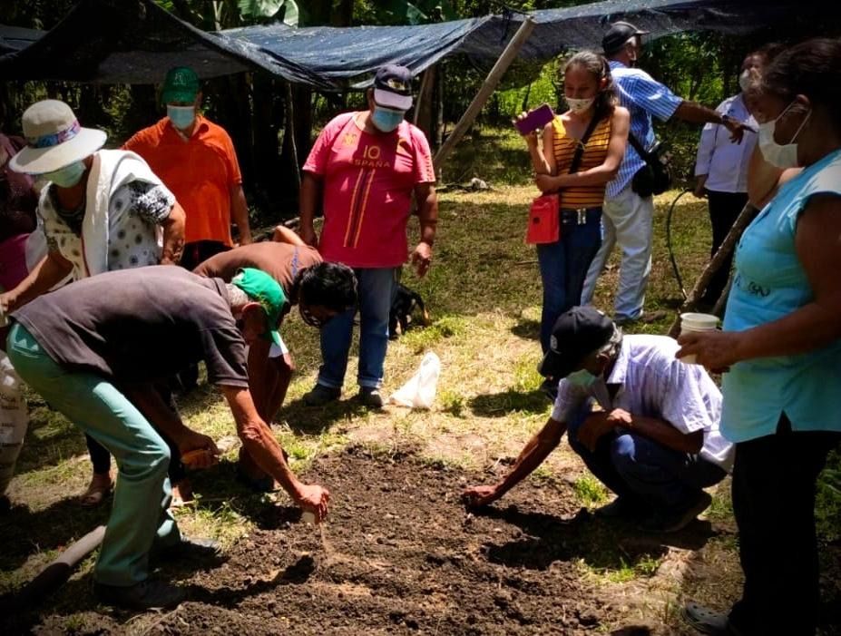 Acciones de Cortolima contra la desertificación y la sequía