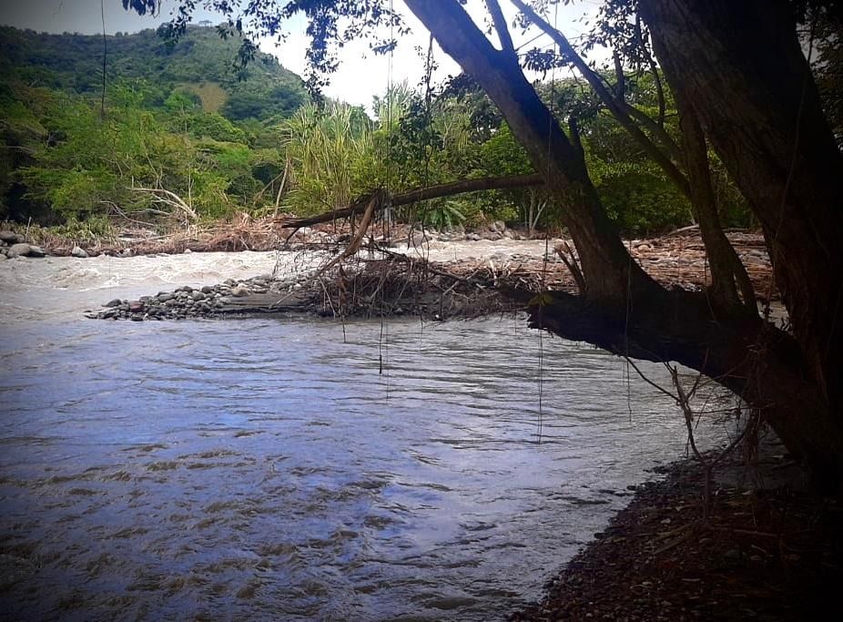 CORTOLIMA ATIENDE EMERGENCIA EN COELLO