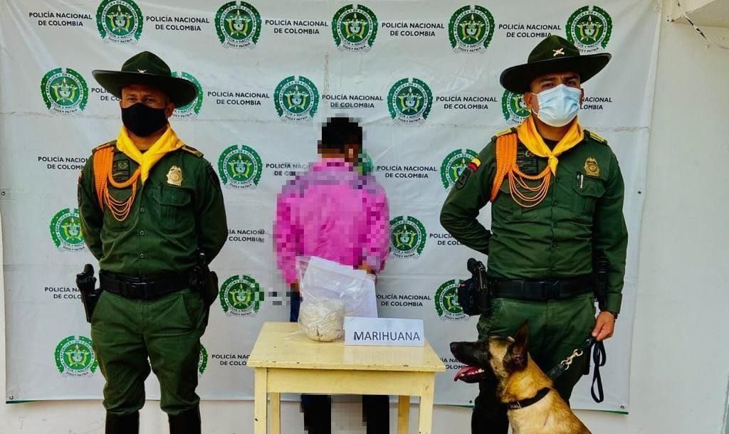 ‘Petit’ el perro policía descubrió alucinógenos  en el Tolima