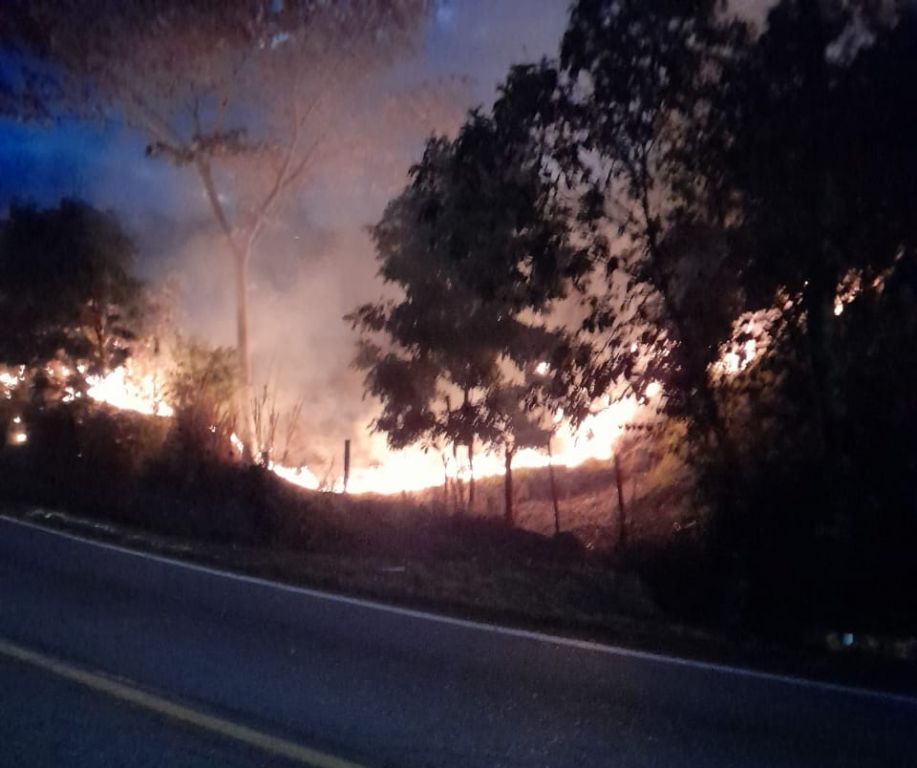 28 incendios forestales se han registrado en el Tolima en agosto