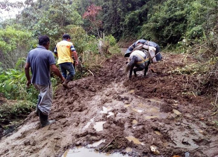 Declarada calamidad pública en 20 municipios de Tolima por fuerte ola invernal