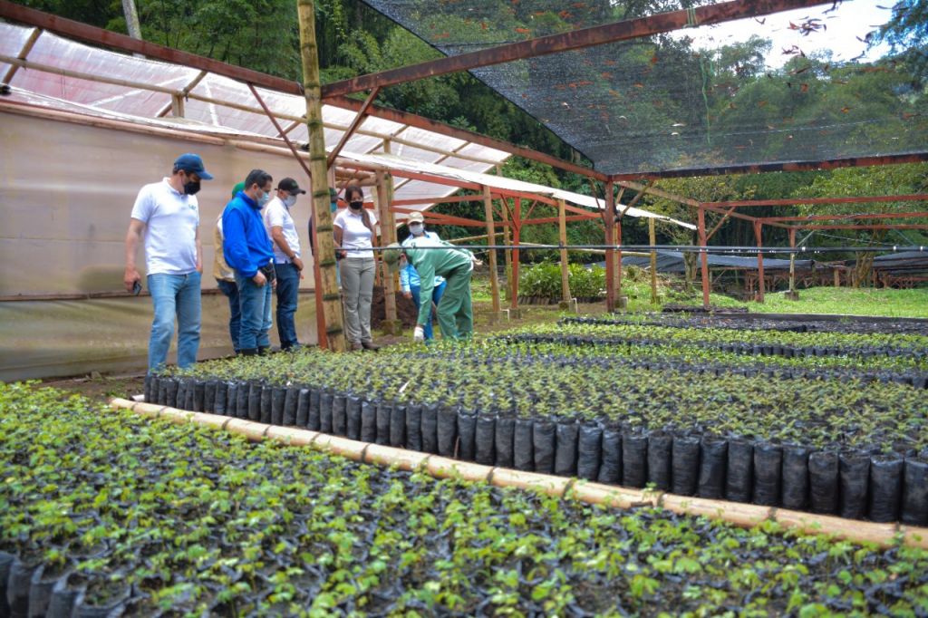 Los viveros de Cortolima en proceso de certificación