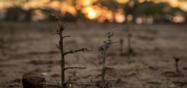 Con plantón exigirían acciones para prevenir el calentamiento global.