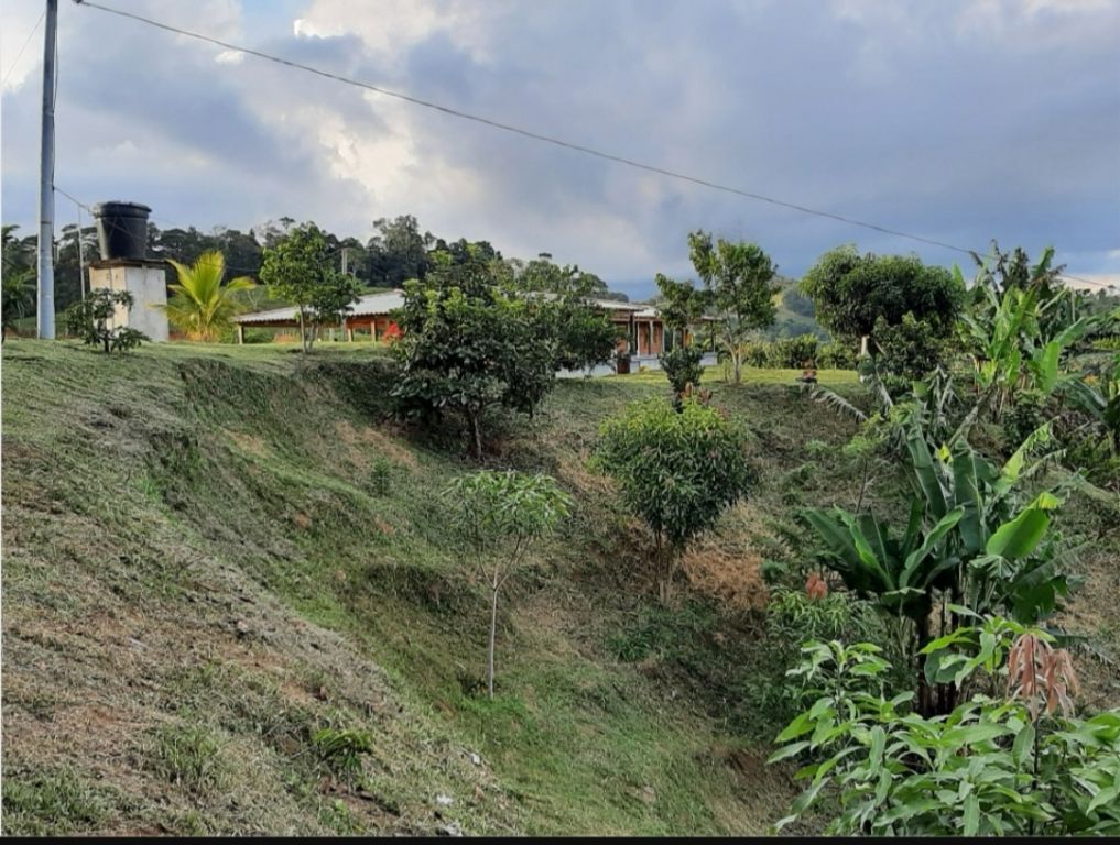El extraño hallazgo óseo, en zona rural de Ibagué
