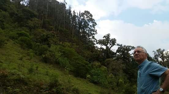 Terquedad de Jaramillo, genera lluvia de demandas contra alcaldía