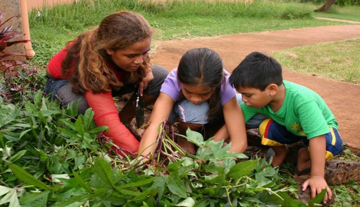 Cajamarca trabaja para que jóvenes se queden en el campo