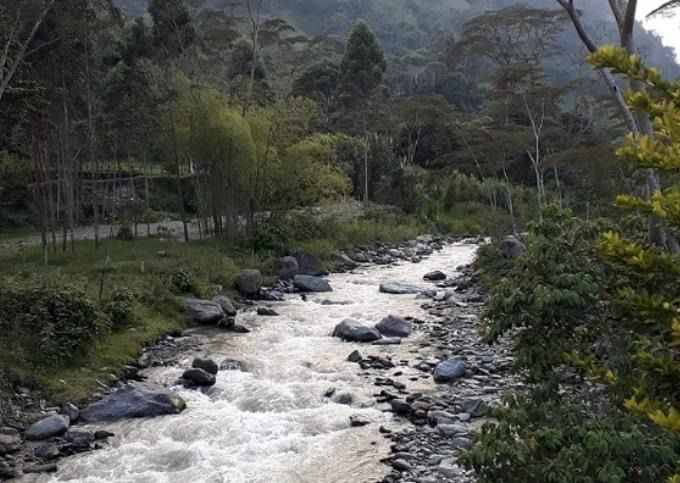 Diputados hunden proyecto para recuperar Cuenca del rio Combeima.