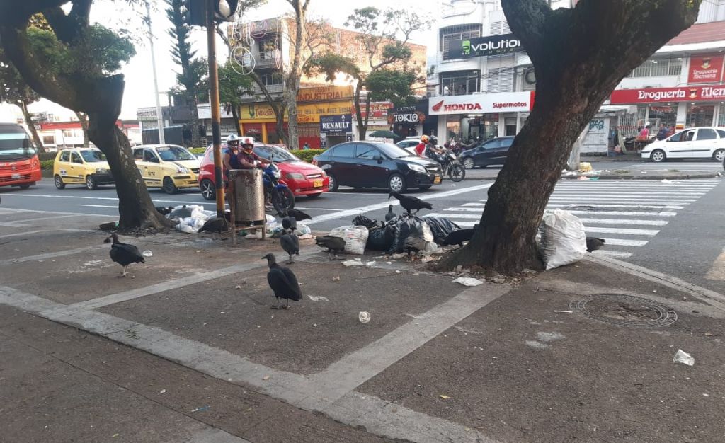 Ibagué esta compitiendo para convertirse en la capital de la basura