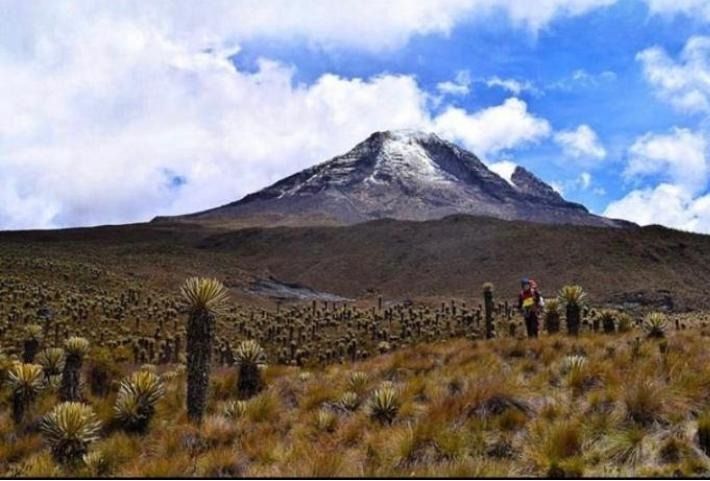 3 casos, prendieron las alarmas en el Nevado del Tolima